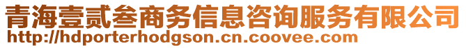 青海壹貳叁商務(wù)信息咨詢服務(wù)有限公司