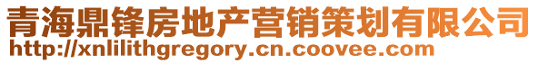 青海鼎鋒房地產(chǎn)營(yíng)銷(xiāo)策劃有限公司