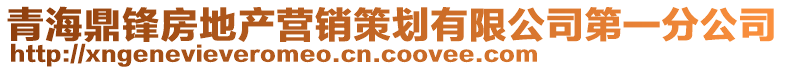 青海鼎鋒房地產營銷策劃有限公司第一分公司