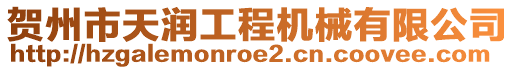 賀州市天潤(rùn)工程機(jī)械有限公司