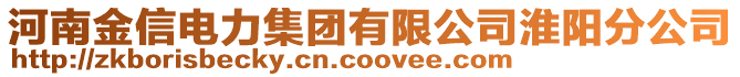 河南金信電力集團有限公司淮陽分公司