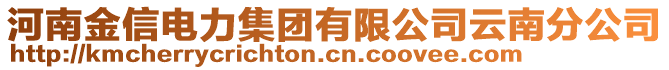 河南金信電力集團(tuán)有限公司云南分公司