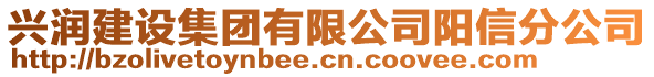 興潤(rùn)建設(shè)集團(tuán)有限公司陽信分公司