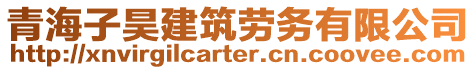 青海子昊建筑勞務(wù)有限公司