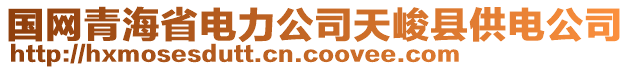 國網青海省電力公司天峻縣供電公司