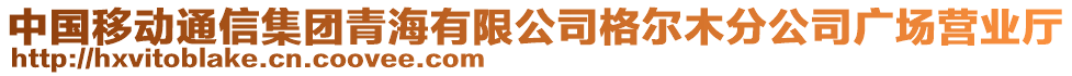 中國移動通信集團青海有限公司格爾木分公司廣場營業(yè)廳