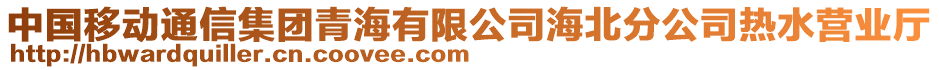 中國移動通信集團青海有限公司海北分公司熱水營業(yè)廳