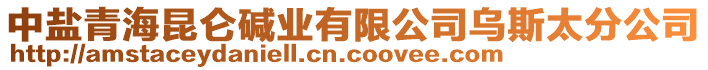 中鹽青海昆侖堿業(yè)有限公司烏斯太分公司