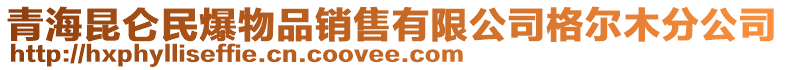 青海昆侖民爆物品銷售有限公司格爾木分公司