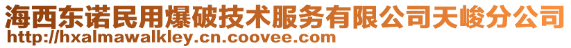 海西东诺民用爆破技术服务有限公司天峻分公司