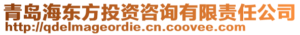 青島海東方投資咨詢有限責(zé)任公司