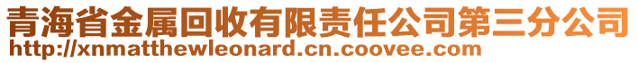 青海省金屬回收有限責(zé)任公司第三分公司