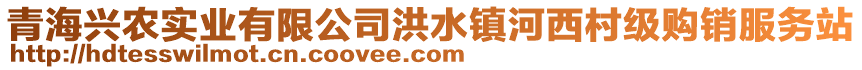 青海興農(nóng)實(shí)業(yè)有限公司洪水鎮(zhèn)河西村級購銷服務(wù)站