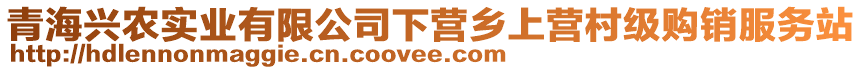 青海興農(nóng)實業(yè)有限公司下營鄉(xiāng)上營村級購銷服務(wù)站