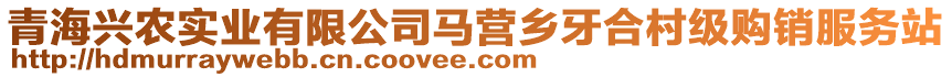 青海興農(nóng)實(shí)業(yè)有限公司馬營鄉(xiāng)牙合村級(jí)購銷服務(wù)站