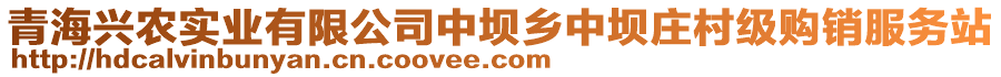 青海興農(nóng)實(shí)業(yè)有限公司中壩鄉(xiāng)中壩莊村級(jí)購(gòu)銷服務(wù)站