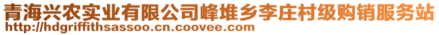 青海興農(nóng)實業(yè)有限公司峰堆鄉(xiāng)李莊村級購銷服務站