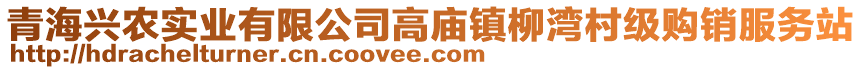 青海興農(nóng)實(shí)業(yè)有限公司高廟鎮(zhèn)柳灣村級(jí)購銷服務(wù)站