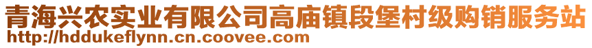 青海興農(nóng)實(shí)業(yè)有限公司高廟鎮(zhèn)段堡村級(jí)購(gòu)銷服務(wù)站