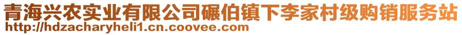 青海興農(nóng)實(shí)業(yè)有限公司碾伯鎮(zhèn)下李家村級(jí)購(gòu)銷服務(wù)站