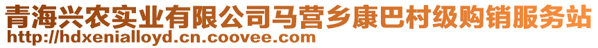 青海興農(nóng)實(shí)業(yè)有限公司馬營(yíng)鄉(xiāng)康巴村級(jí)購(gòu)銷(xiāo)服務(wù)站