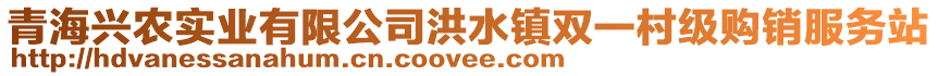 青海興農(nóng)實(shí)業(yè)有限公司洪水鎮(zhèn)雙一村級購銷服務(wù)站