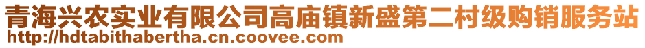 青海興農(nóng)實業(yè)有限公司高廟鎮(zhèn)新盛第二村級購銷服務站