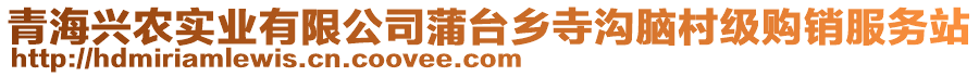 青海興農(nóng)實(shí)業(yè)有限公司蒲臺(tái)鄉(xiāng)寺溝腦村級(jí)購(gòu)銷服務(wù)站