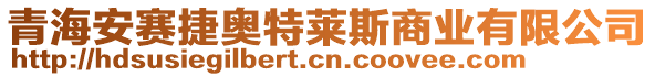 青海安賽捷奧特萊斯商業(yè)有限公司