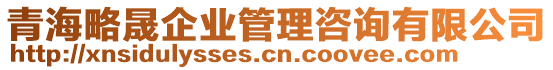 青海略晟企業(yè)管理咨詢有限公司