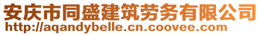 安慶市同盛建筑勞務(wù)有限公司