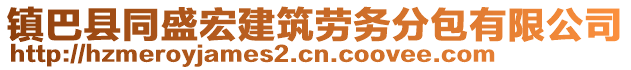 鎮(zhèn)巴縣同盛宏建筑勞務分包有限公司