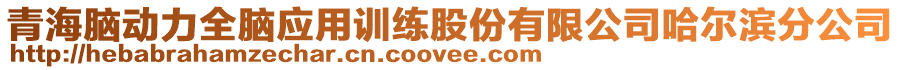 青海腦動(dòng)力全腦應(yīng)用訓(xùn)練股份有限公司哈爾濱分公司