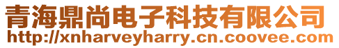 青海鼎尚電子科技有限公司