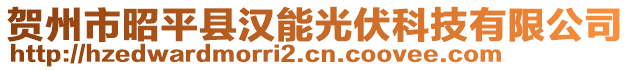 賀州市昭平縣漢能光伏科技有限公司