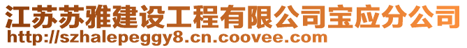 江蘇蘇雅建設工程有限公司寶應分公司