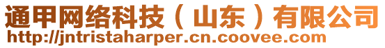 通甲網(wǎng)絡科技（山東）有限公司