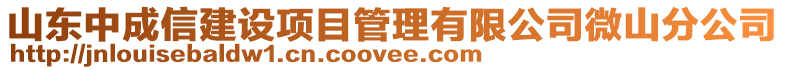 山東中成信建設項目管理有限公司微山分公司