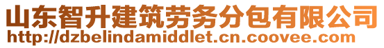 山東智升建筑勞務(wù)分包有限公司