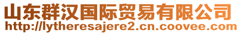 山東群漢國(guó)際貿(mào)易有限公司