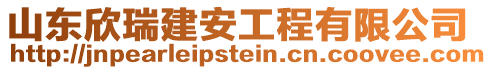 山東欣瑞建安工程有限公司