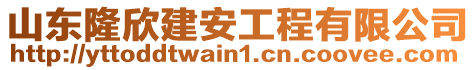 山東隆欣建安工程有限公司