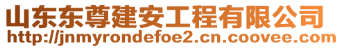 山東東尊建安工程有限公司