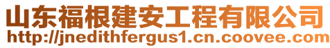 山東福根建安工程有限公司
