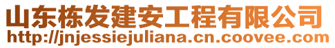 山東棟發(fā)建安工程有限公司