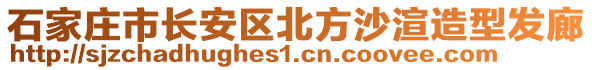 石家莊市長(zhǎng)安區(qū)北方沙渲造型發(fā)廊