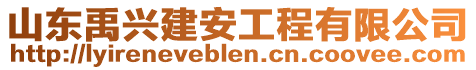 山東禹興建安工程有限公司