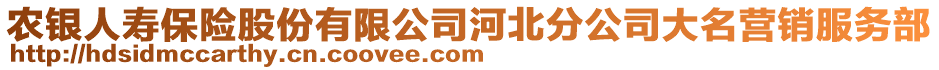 農銀人壽保險股份有限公司河北分公司大名營銷服務部