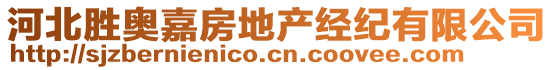 河北勝奧嘉房地產(chǎn)經(jīng)紀(jì)有限公司