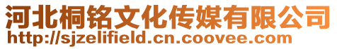 河北桐銘文化傳媒有限公司